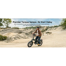 Vélo Électrique Adulte ENGWE ENGINE PRO 3.0 BOOST, Moteur 250W, Batterie 48V 15AH pas cher