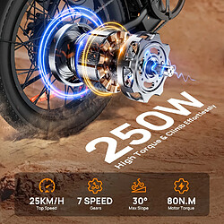 Acheter Vélo Électrique Adulte URLIFE E20, Moteur 1000W, Batterie 48V 13AH, Pneus Tout-Terrain 20*3
