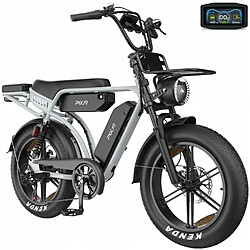 Vélo électrique tout terrain PIXAR M9 double batterie 48V 35AH autonomie 110-130km 250W