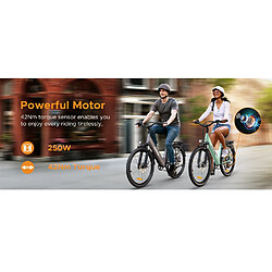 Acheter Vélo électrique adulte HillMiles MileCity 1, moteur 250W, batterie 36V 13Ah, pneus fat 26“