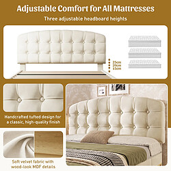 Avis allomn Lit coffre double 140x190 cm - tête réglable 2 tiroirs - velours beige