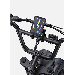 Acheter Vélo Électrique Style Moto ENGWE M1, Double Batterie 48V 28,6AH, Moteur 250W, 25KM/H