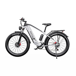 Acheter Vélo électrique DUOTTS F26 Lite adulte, moteur 500W, batterie 48V 18AH, pneus larges 26*4.0