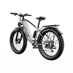 Vélo électrique DUOTTS F26 Lite adulte, moteur 500W, batterie 48V 18AH, pneus larges 26*4.0 pas cher