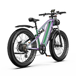 Avis Vélo électrique DUOTTS E26 | Moteur 750W | Batterie 48V 20Ah | Pneus larges 26×4 pouces