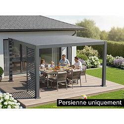 Avis Persienne fixe pour pergola Evora côté 3 m Graphite - Hespéride
