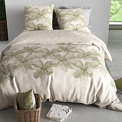 Acheter Housse De Rêve Parure de lit 220x240 cm Coton Livia