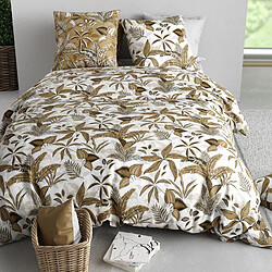 Avis Housse De Rêve Parure de lit 240x260 cm Coton 57 fils Kaori