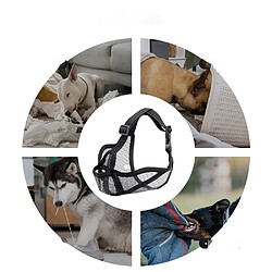 INF Museau pour chien à museau court L pas cher