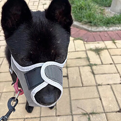 Muselière pour chien
