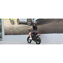 DYU Vélo Électrique Tout Terrain 250W Batterie 36V Autonomie 60-70km Frein à Disque pas cher