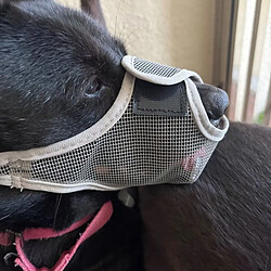 Avis INF Muselière Anti-Ingestion : Muselière Respirante en Maille pour Chien, pour Sécurité et Édu