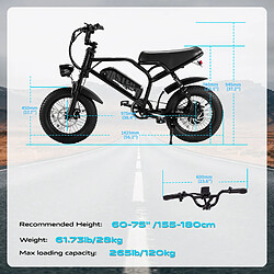 Acheter DYU Vélo Électrique Tout Terrain 250W Batterie 36V Autonomie 60-70km Frein à Disque