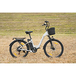 Avis Vélo électrique TTGO C2 Pro 250W 52Nm batterie 36V 18Ah autonomie 80 à 120 km 25km/h