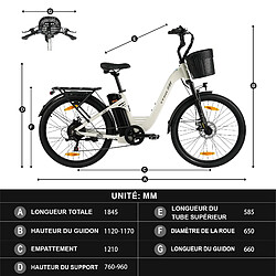 Vélo électrique TTGO C2 Pro 250W 52Nm batterie 36V 18Ah autonomie 80 à 120 km 25km/h pas cher