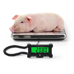 INF Balance Numérique pour Petits Animaux - Acier Inoxydable avec Écran LCD L pas cher