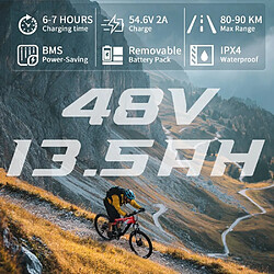 Acheter Vélo Électrique Adulte DUOTTS E29 | Moteur 250W, Batterie 48V 13.5Ah, Pneus 27,5 Pouces, Vé