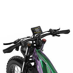 Vélo Électrique DUOTTS E26 | Moteur 750W, Batterie 48V 20Ah, Pneus 26x4 Pouces, 8 Vitesses pas cher