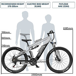 Vélo Électrique Adulte DUOTTS E29 | Moteur 250W, Batterie 48V 13.5Ah, Pneus 27,5 Pouces, Vé pas cher