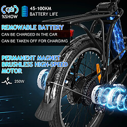 Acheter Vélo Électrique KAISDA K7 Femme Adulte, 20 Pouces, Moteur 250W, Batterie 36V 12,5Ah
