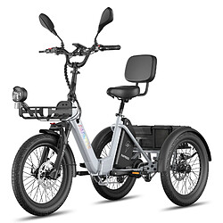 FAFREES F20 Mate II pas cher