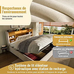 Acheter allomn Lit coffre rembourré 180 x 200 cm en lin avec rangement hydraulique, LED et USB - beige
