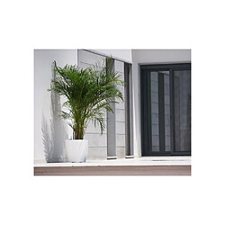 Artevasi San Remo - 30x30 cm - Plastique pas cher