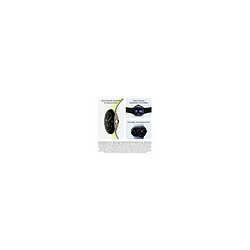Google Pixel Watch 4 41 mm 4G - Argent poli - Bracelet sport fluoroélastomère pas cher
