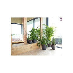 Acheter Artevasi San Remo - 30x30 cm - Plastique
