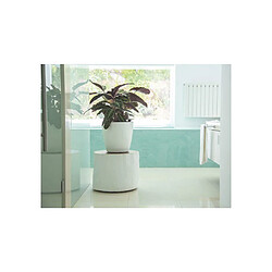 Avis Artevasi San Remo - 30x30 cm - Plastique