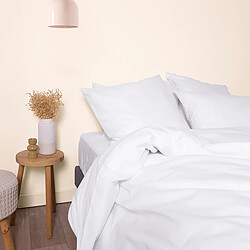 Avis A demain Taie d'oreiller en Coton Biologique - 65x65 - Blanc