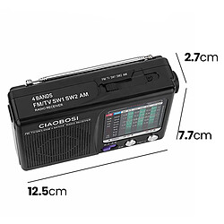 Acheter Avizar Radio Portable AM/FM Analogique Compacte à Piles avec Antenne Télescopique Noir