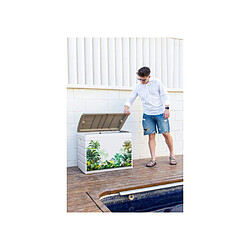 Acheter PLASTIKEN Coffre de rangement 260 L - Avec roulettes - Couvercle cadenassable