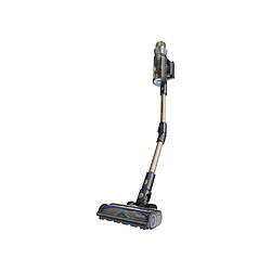Avis Cecotec Conga Rockstar RS90 Pet Flex - Aspirateur balai sans fil