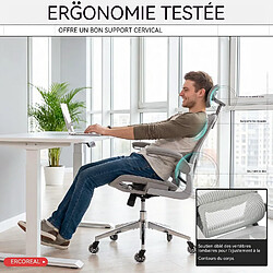 Avis Rolipo Fauteuil de bureau ergonomique, charge maximale de 120 kg gris