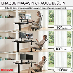 Acheter Rolipo Fauteuil de bureau ergonomique, charge maximale de 120 kg gris