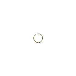 Avis S|P Collection - Charm - Or
