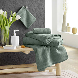 Douceur D'Interieur Lot de 2 Gants de Toilette Tendresse 15x21cm Vert Cèdre pas cher