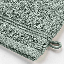 Avis Douceur D'Interieur Lot de 2 Gants de Toilette Tendresse 15x21cm Vert Cèdre