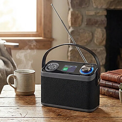 Avis Nedis Radio de Table avec Bluetooth, USB, Réveil et Écran Couleur DAB+ / FM Noir