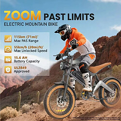Acheter LIZIFLY Vélo électrique - M20 - Moteur 1500W - Batterie 48V 18.2Ah - Autonomie 100km