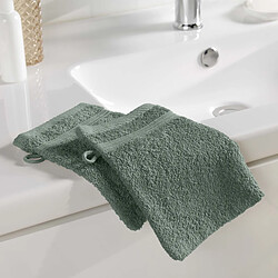 Acheter Douceur D'Interieur Lot de 2 Gants de Toilette Tendresse 15x21cm Vert Cèdre