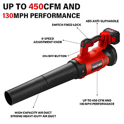 Avis TEENO Souffleur de feuilles électrique, 450 CFM / 130 mph, 2 batteries 4,0 Ah,6 modes de