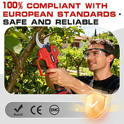 TEENO Ensemble d'outils de jardinage 2 en 1 : mini-scie sans fil de 6 pouces + sécateur pas cher
