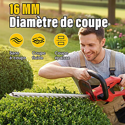 TEENO Taille-Haies sans fil 20V, 1 Batterie 4000mAh, Lame 52cm, Coupe 16mm pas cher