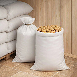 Acheter vidaXL Sacs tissés 10 pièces Blanc 65 x 115 cm PP