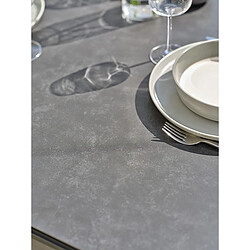 Paris Prix Table de Jardin en Céramique Tigua 200cm Anthracite pas cher