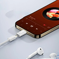 Acheter INF Adaptateur Casque Lightning Femelle vers USB-C Mâle : Audio HiFi & Appels