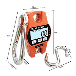 Avis INF Balance de Suspension Numérique 300KG avec Écran LCD - Balance de Grue Haute Précision Ora
