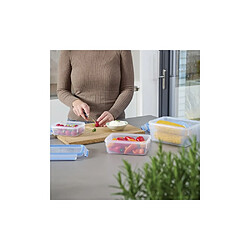 Tefal Masterseal Fresh - Boîte alimentaire 2,3 L - Bleu Transparent pas cher